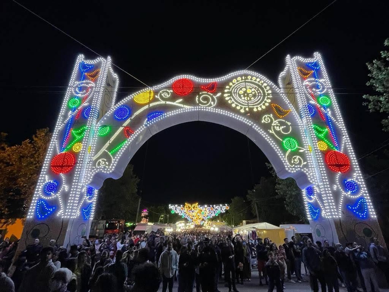 Sale a licitacin los servicios de instalacin y desmontaje de las casetas de las Ferias de San Fernando y caseta de animacin para Carnavales