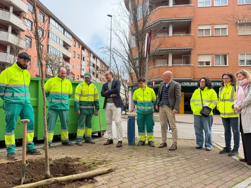 El Ayuntamiento planta 400 árboles de 13 especies diferentes por todos los barrios de la ciudad