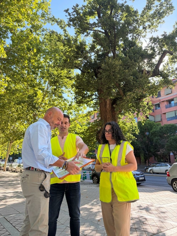 El Ayuntamiento inspecciona los dos olmos más representativos de la ciudad, en las Avenidas de Alemania y de la Hispanidad