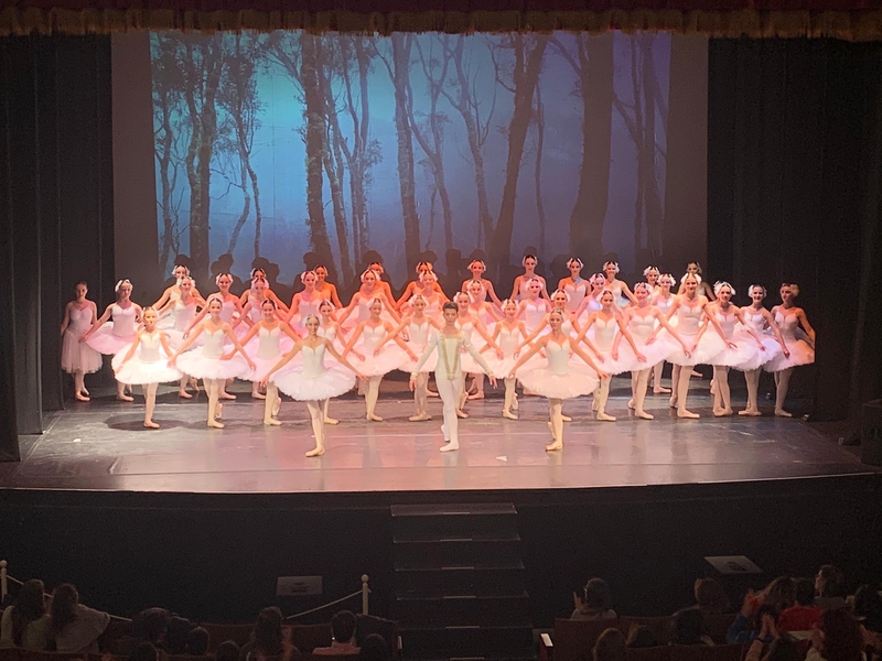 El Gran Teatro celebra mañana el Día Internacional de la Danza con Odette y Odile, una adaptación de El lago de los cisnes