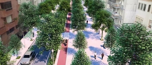 La remodelación de la Avenida Virgen de la Montaña será un proyecto en el que primarán los criterios ambientales y de seguridad para los peatones