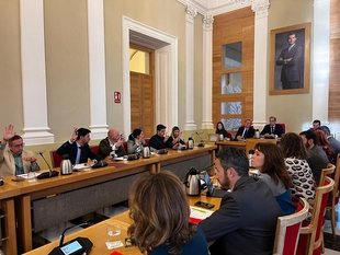 El Pleno aprueba la rebaja del IBI urbano y rústico 