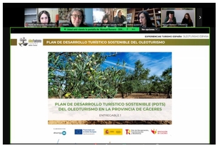 Más de 70 servicios oleoturísticos de la provincia se han sumado ya al proyecto “Oleoturismo Eespaña”, que promueve Diputación de Cáceres