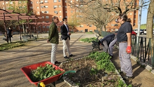 El Ayuntamiento de Cáceres colabora con el proyecto CRISOL For+ para recuperar zonas ajardinadas de Aldea Moret con la implicación de sus vecinos