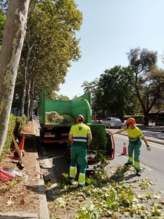 El Ayuntamiento inicia un plan para paliar las carencias de iluminación en la Avenida de la Hispanidad