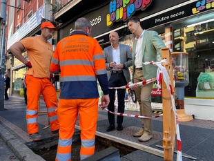El Ayuntamiento plantará 32 árboles en la avenida de Antonio Hurtado