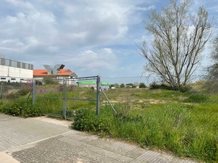 El Gobierno municipal avanza en la ubicación definitiva del mercadillo y la dinamización del Distrito Norte